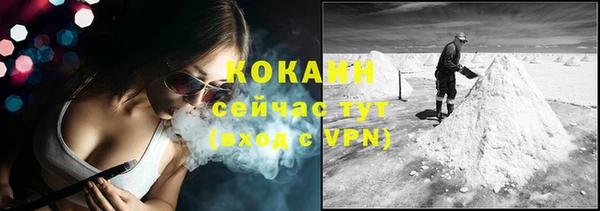 соль ск Переславль-Залесский