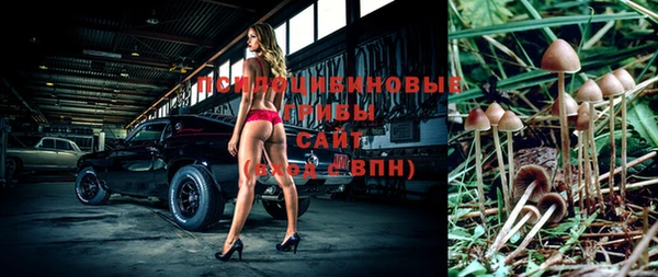 синтетический гашиш Пестово