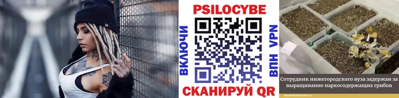 Псилоцибиновые грибы Psilocybine cubensis  Сорск 